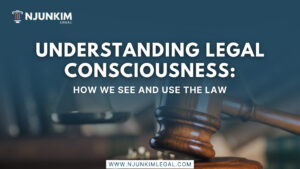Understanding Legal Consciousness